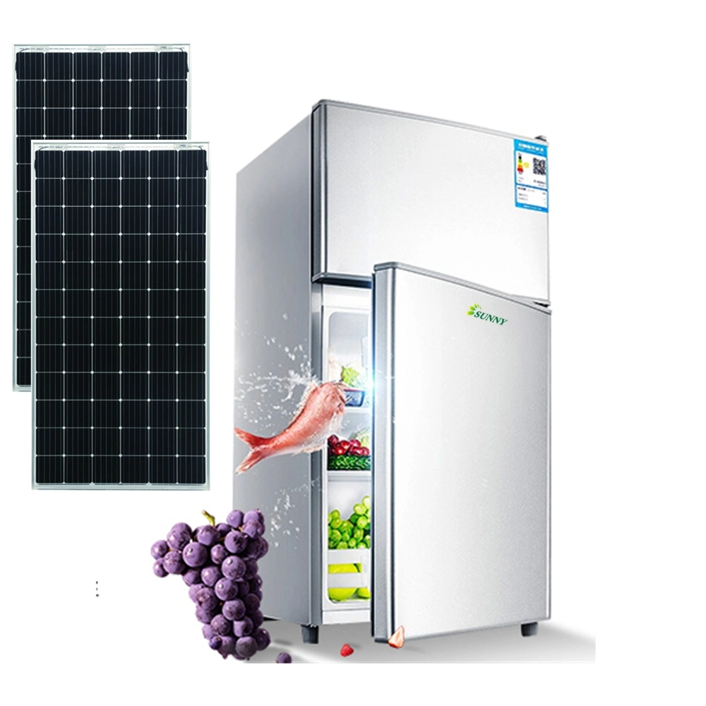 Customize Solar Power Refrigerator 12V DC Fridge with Solar Panel