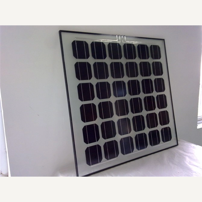 Yangtze Transparent Solar Panel Poly 330 340 Watt