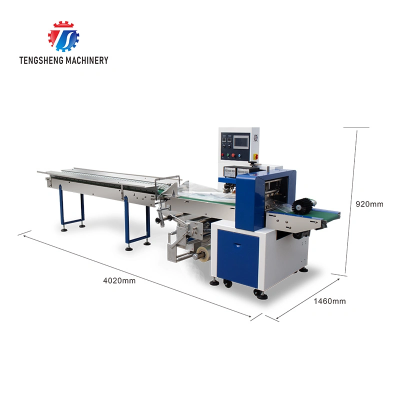 Automatic Flow Packaging Machinery Fruit Pillow Packing Machine Food Processor