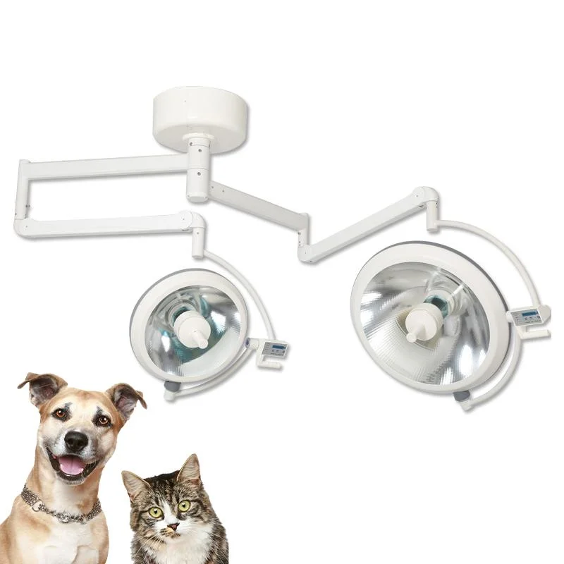 Animal Operation Ceiling Medical Veterinary Surgery Lights Vet Ot Surgical Double Head Surgical Operating Lamp