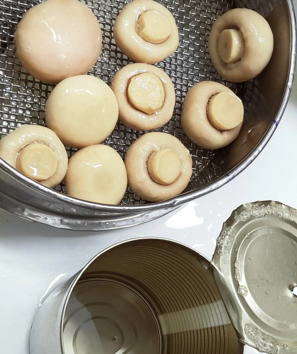 Botón de enlatado de alimentos frescos champiñones en lata el embalaje