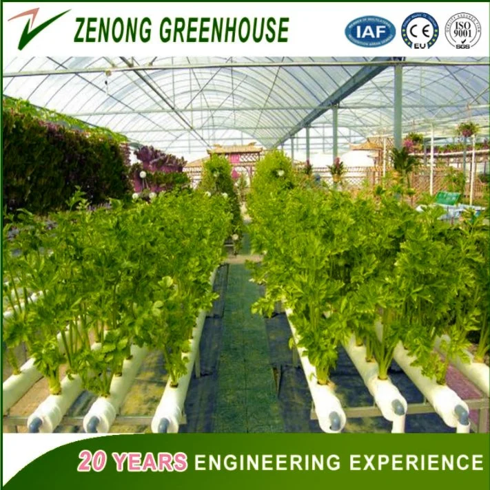 150/200 Micro Po/PE/EVA Film Covered Green House for Vegetables/Medical /Succulents Growing