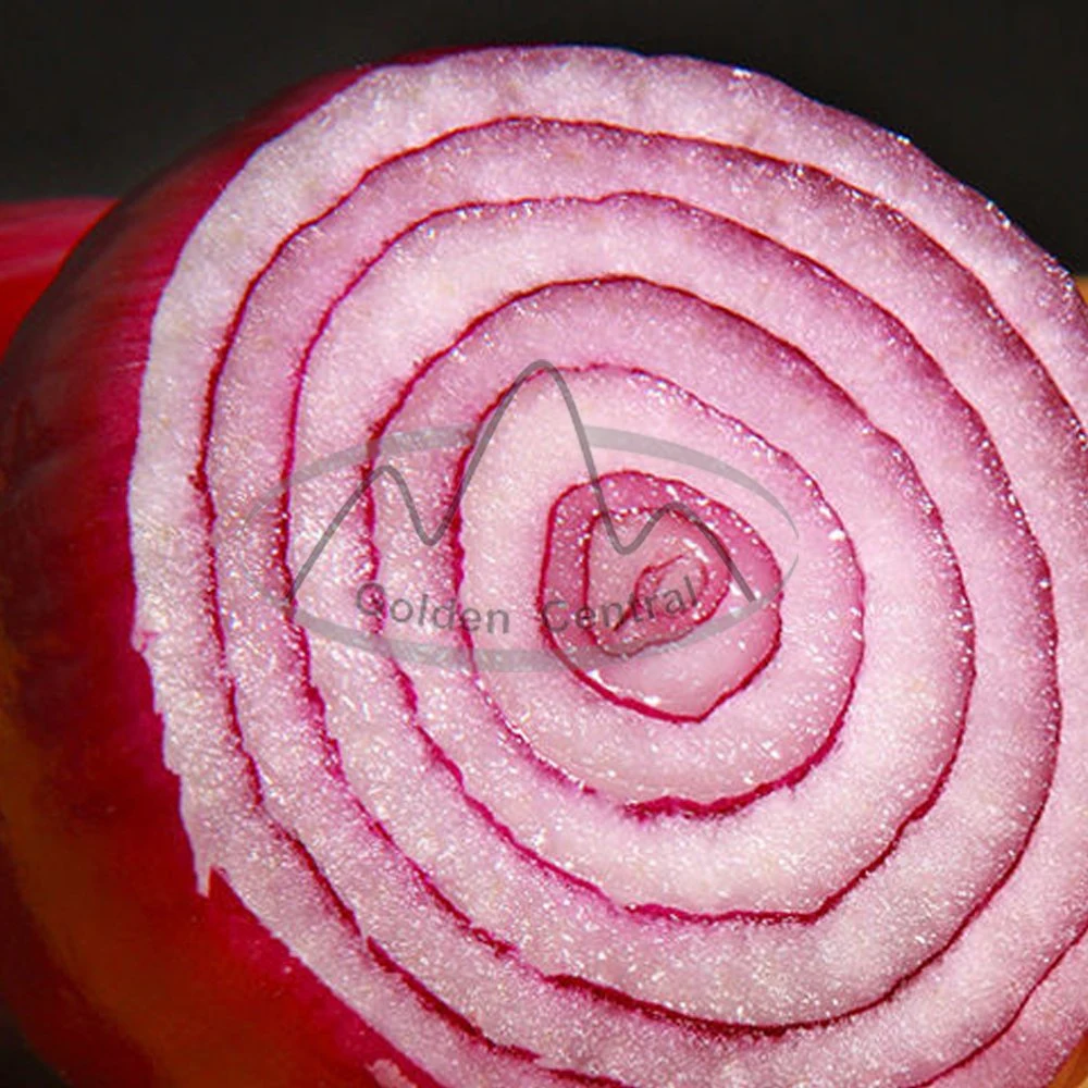 Cebola Vermelho fresco / cebola marrom não pelada preço por Kg