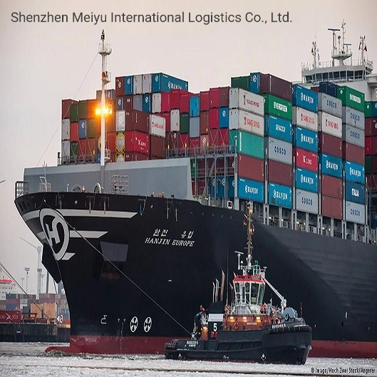 Fast Response LCL/FCL Lowest Shipping Rates Sea Freight to Mexico