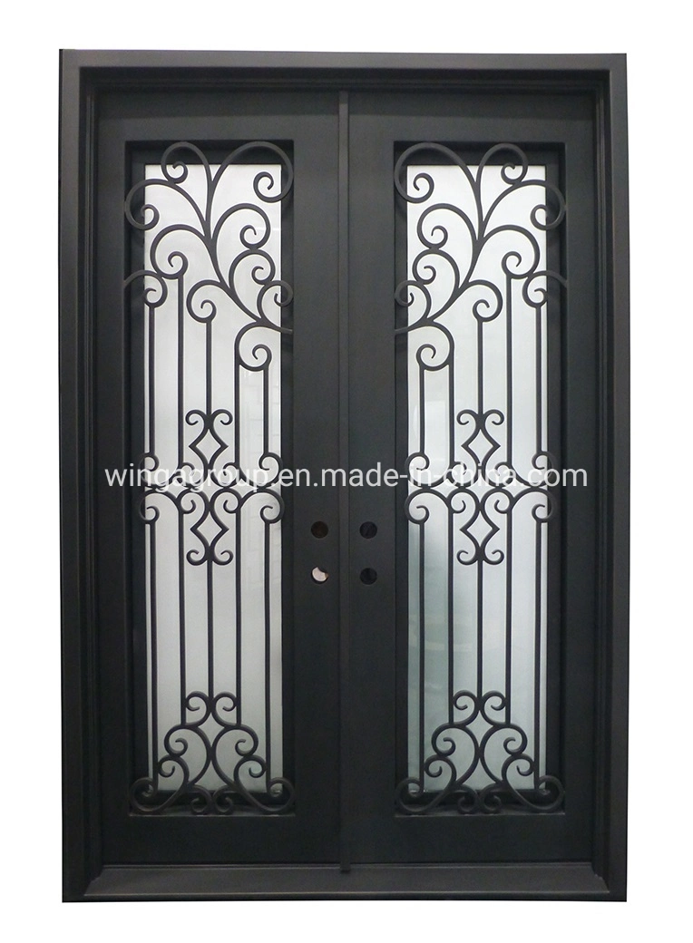 Decorate Arc Glass Wrought Iron Steel Security Door Wg-Sg-08