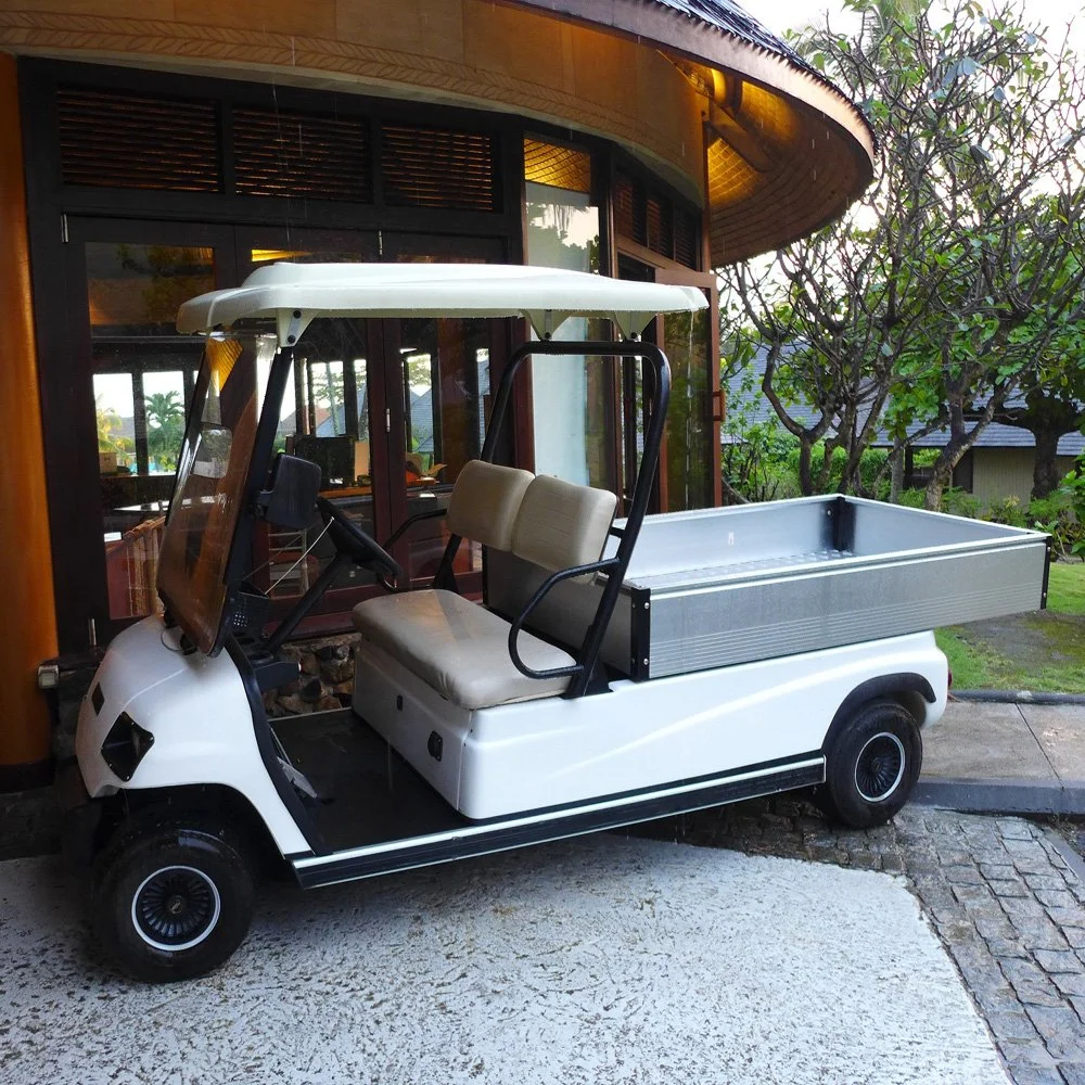 Battery 2 Seat Electric Sightseeing Bus Golf Cargo Car Cart (Lt-A2. H8)