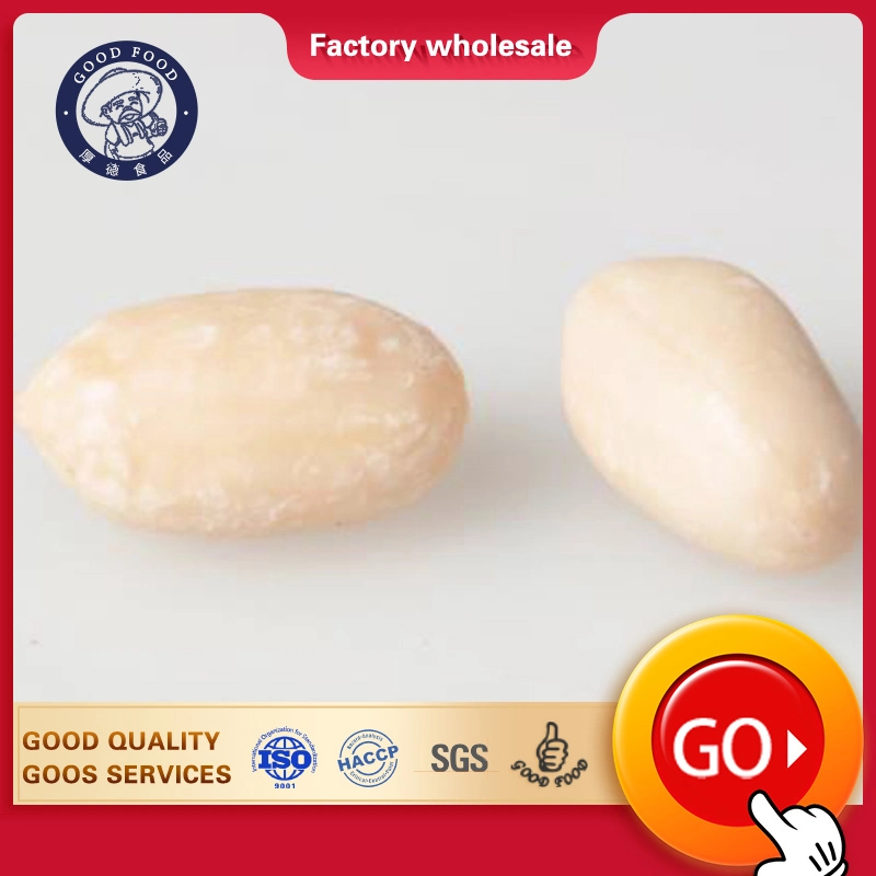 Professional Supply Competitive Organic Blanched Kernels Peanut From Shandong