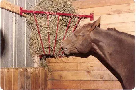 Custom Galvanized Steel Half Hay Rack with Trough