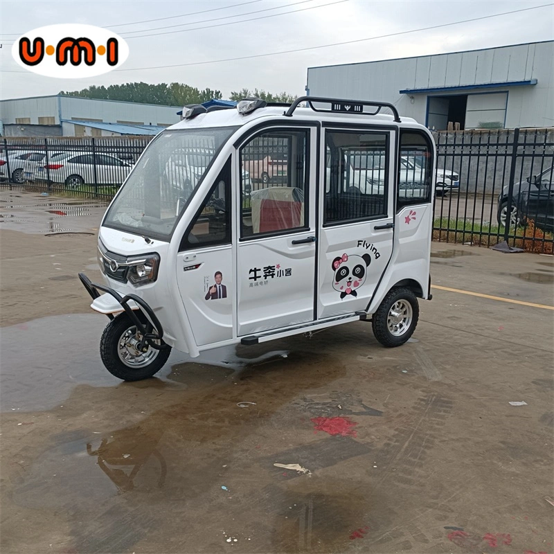 Mini Electric Car Adult Vehicle New Energy Mini Electric Vehicles Mini EV Vehicle for Adults High Speed