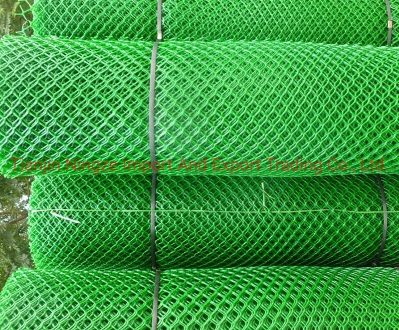 Width 1.2m Plastic Mesh for Poultry/Grassland/Aquaculture Square/Diamond/Hexagonal Hole Shape