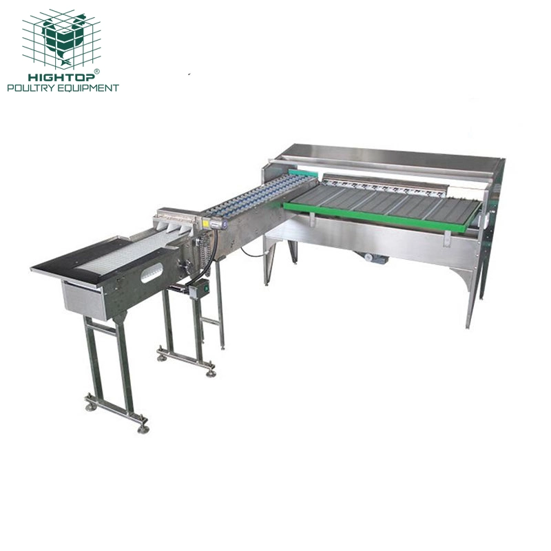 Industrial Simple Egg Weight Cleaning Packing Grading Machine For Chicken Farm