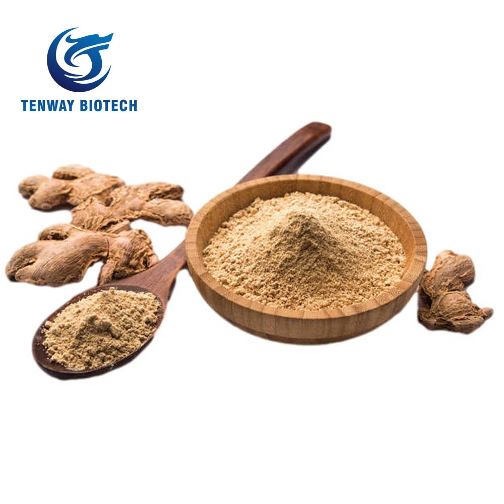 High Quality Food Ingredient Herbal Extract Food Ingredient Raw Ginger Powder