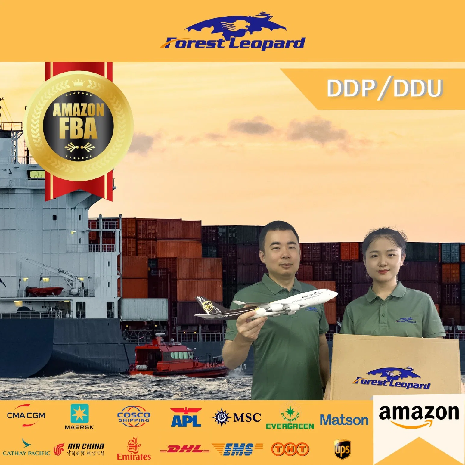 DDP Door to Door Service Freight Forwarder to USA/UK/Italy/France/Netherlands /Germany/Canada Fba Amazon by Air Shipping From CH