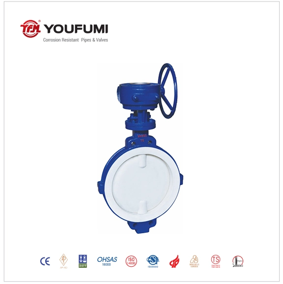 PTFE Full Flined Butterfly Valve for Power Plant