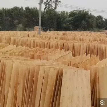 1220x2440mm 18mm contrachapado negro de la película madera de la construcción marina de la construcción de la estructura Junta para el mercado de Japón