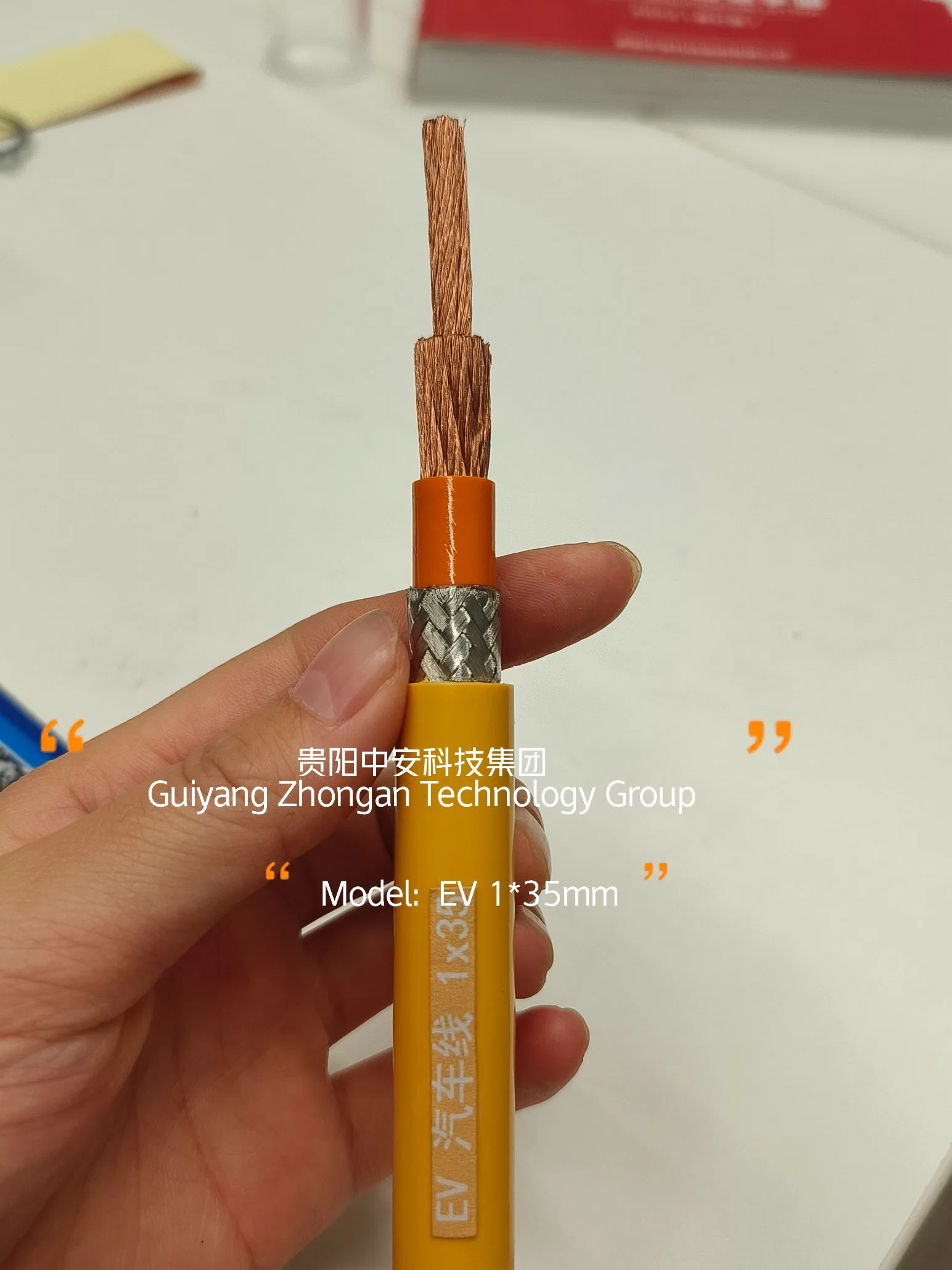 Byd Harness Supplier CE Certificated EV-Ssrp2-125 Wring Harness Charging Cable Electric Cable Electric Car New Energy Vehicle OEM ODM