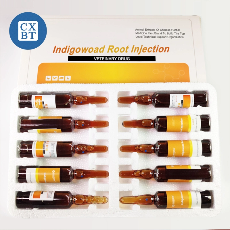Tierärztliche Antientzündungsmedikamente und antibakterielle Medikamente: Indigowoad Root Injection für die Behandlung von Atemwegserkrankungen
