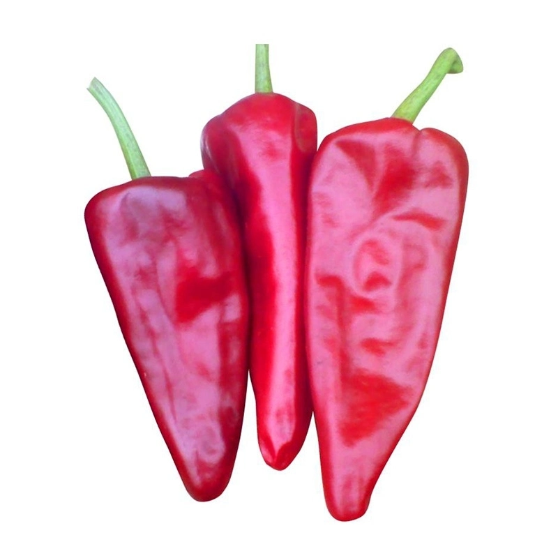 Chinese Zidantou Chilli Bullet Chili Birds Eye New Product Popular in Malaysia/Mexico/USA/South Aisa 50, 000 Shu High Heat