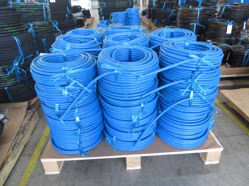 Wire Braid Mwp of 6000psi High Pressure Car Washing Hose Fit for High Pressure Cleaners