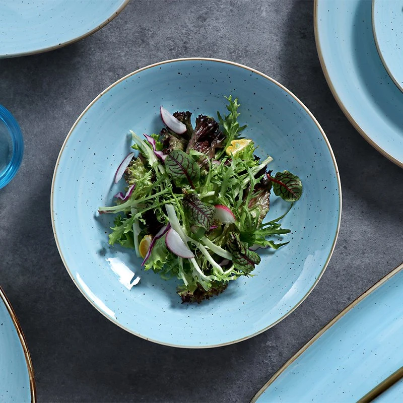Inglazed Ceramic Salad Fruit Plates Chaozhou Ceramic Manufacturer Tableware Porcelain Plate Restaurant Dinner Plate