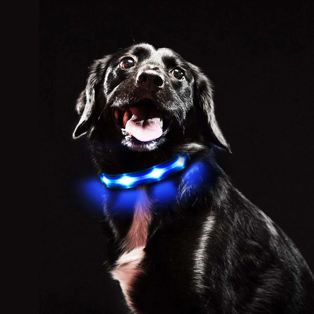 Nueva llegada de luz LED ajustable reflectante Collar de perro los collares de Perro Collar Pet LED Accesorios/PET