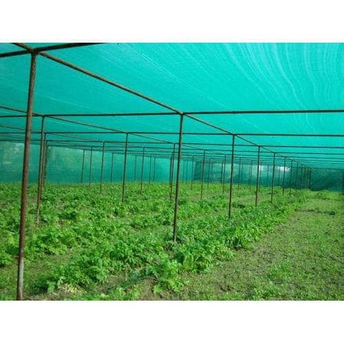 50 pour cent 4X50M Vert Agro ombre Prix de gros net avec les UV