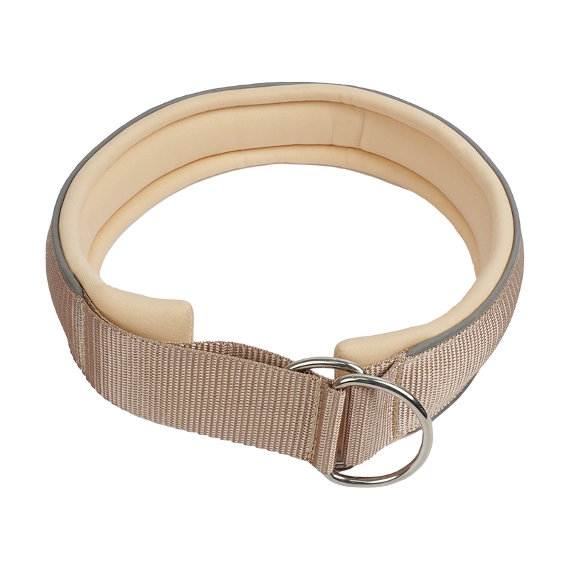 Petisland pas étouffer le collier de PET en gros de produits pour animaux de compagnie Prix d'usine de formation de chien personnalisé Collier Collier pour chien en nylon avec doublure matelassée en néoprène