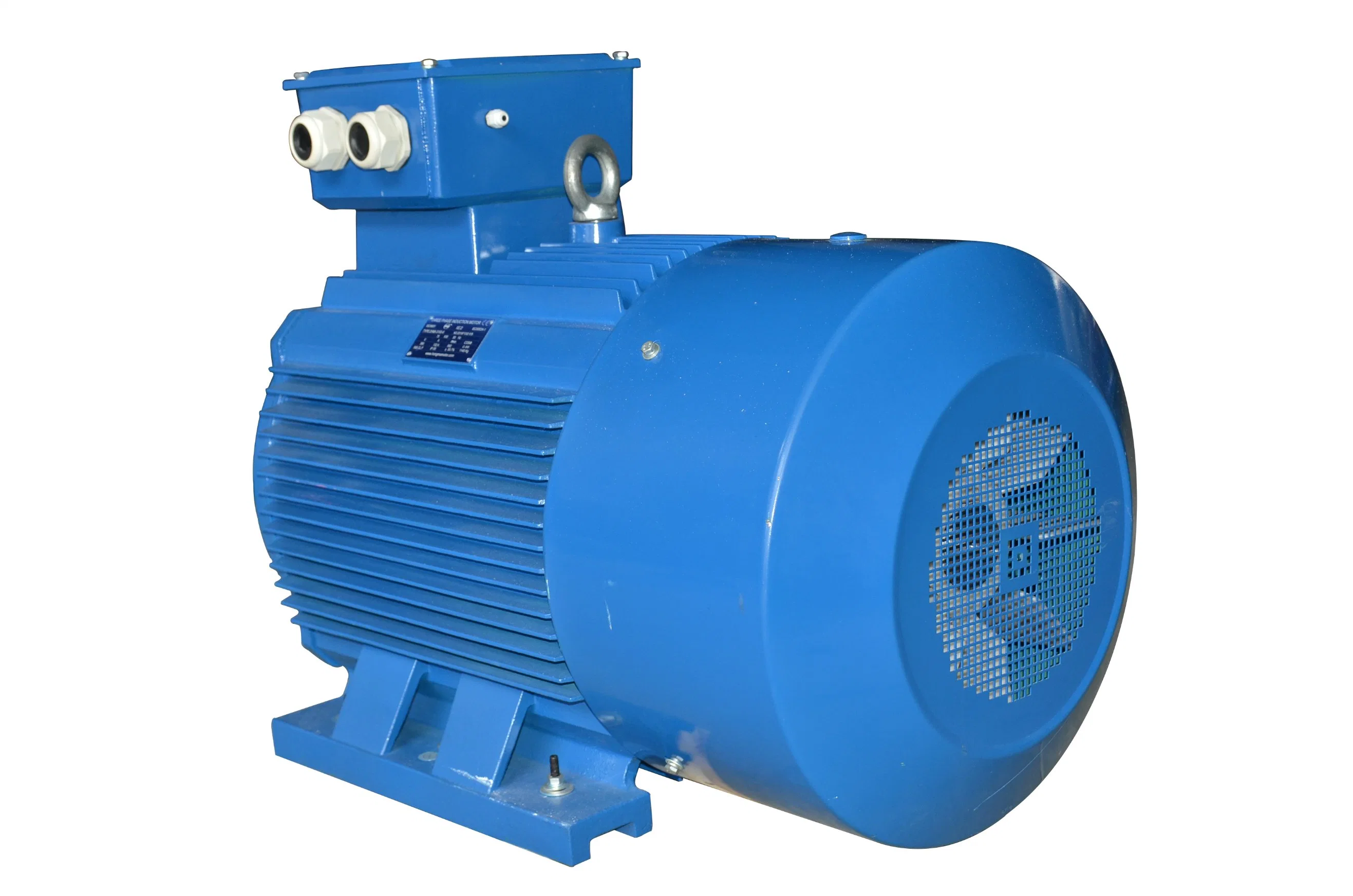 2HMI Series Motor/Ie2 Eff1 High Efficiency Electric Motor Cast Iron