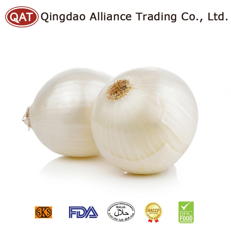 China Natural Blanco pelado cebolla pelada Amarillo pelada Verde cebolla pelada Cebolla de verduras frescas con bolsa de malla