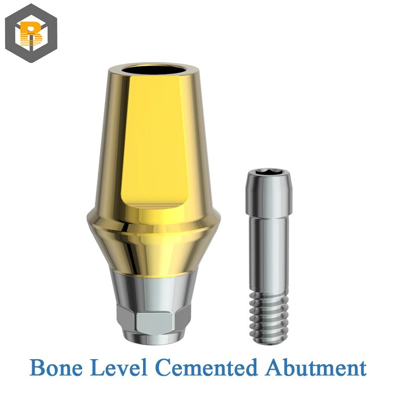 Factory Price Submerged Type Internal Hex Titanium Implant Bone Level Dental Implant Compatible with Osstum Dio Dentium