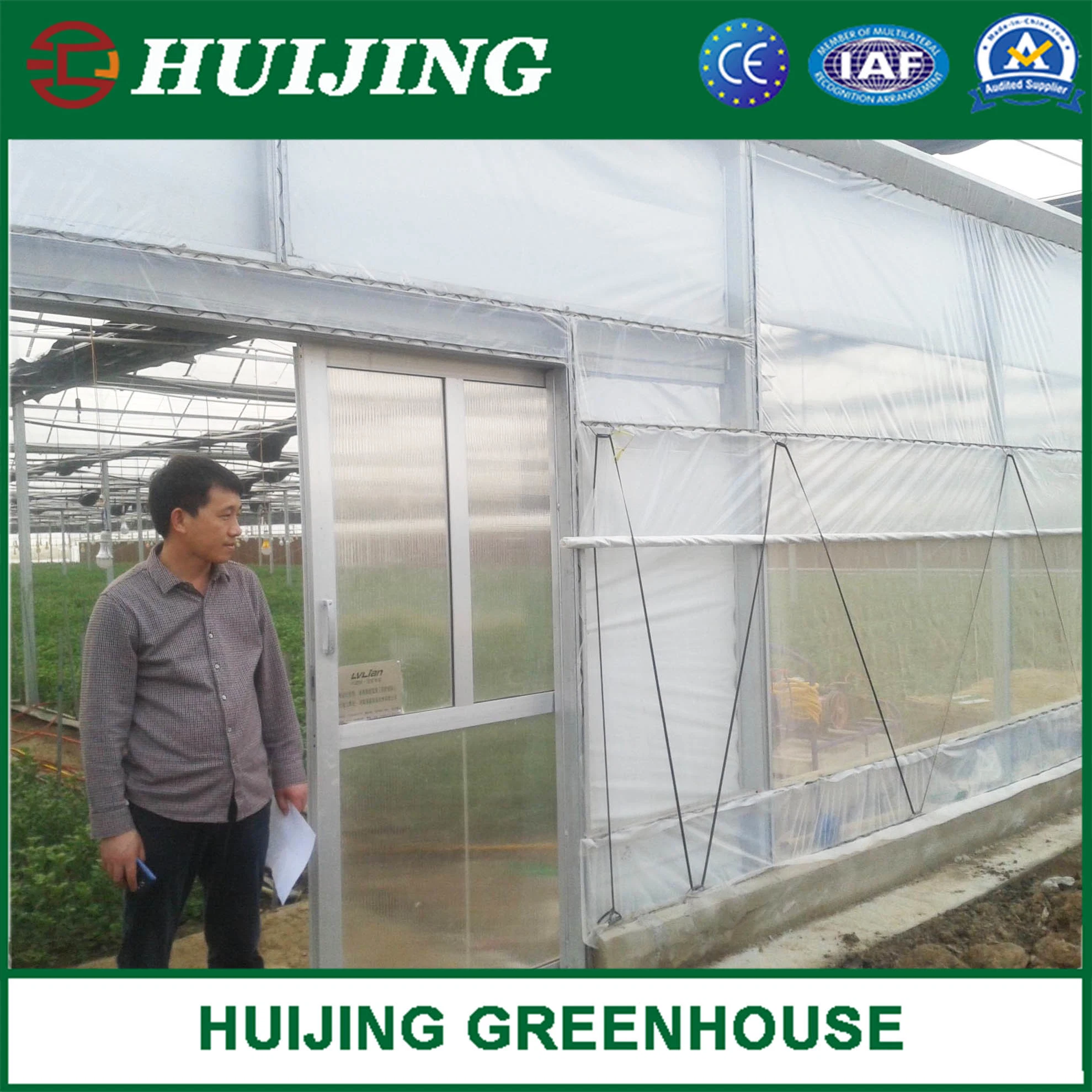 Customized Poly Tunnel Turn-Key Film Greenhouse for Strawberry/Cherry/Fruit Trees/Seedbreeding for Sale