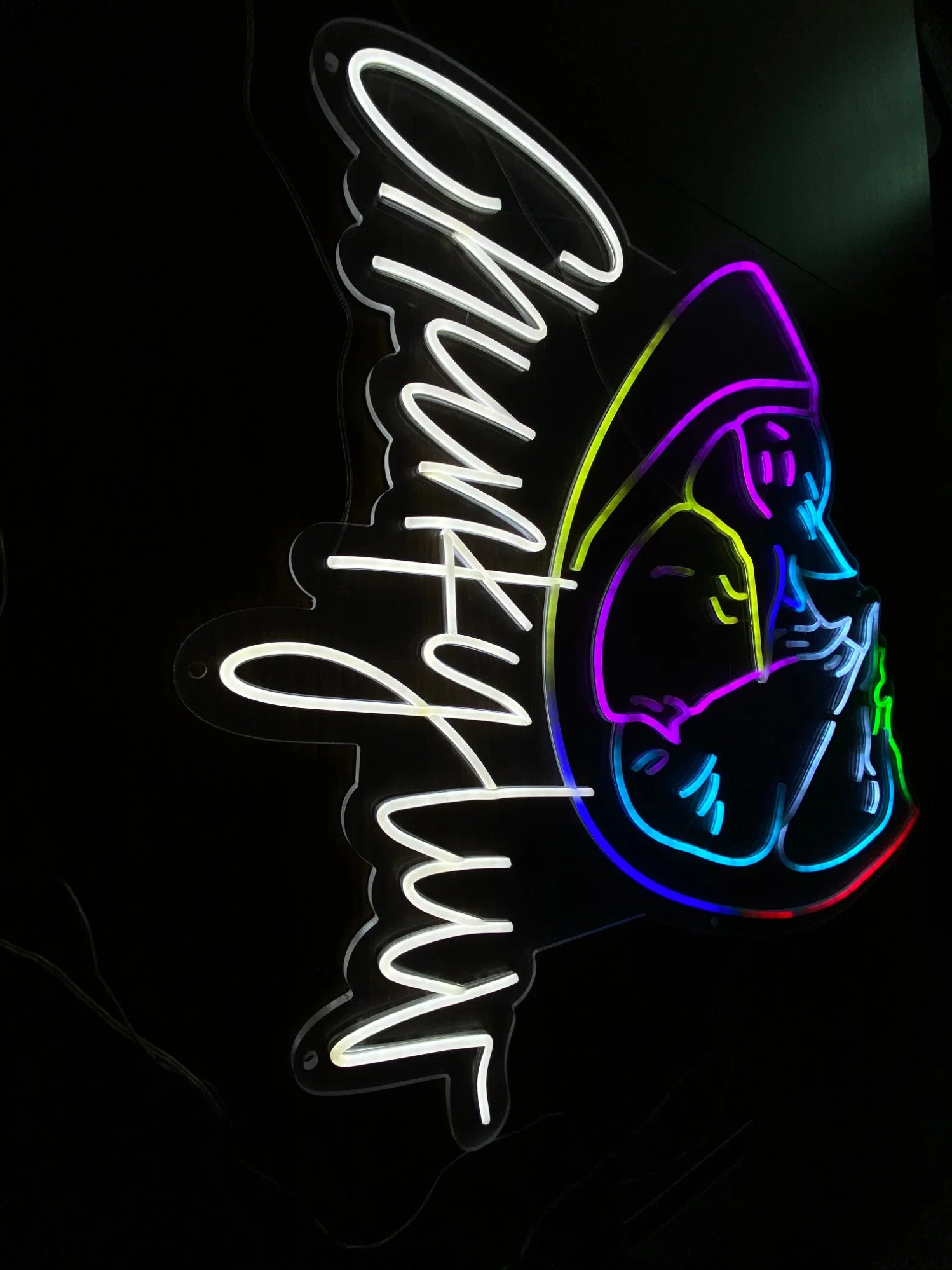 Neon Signs Can Be Customized with LED Lights