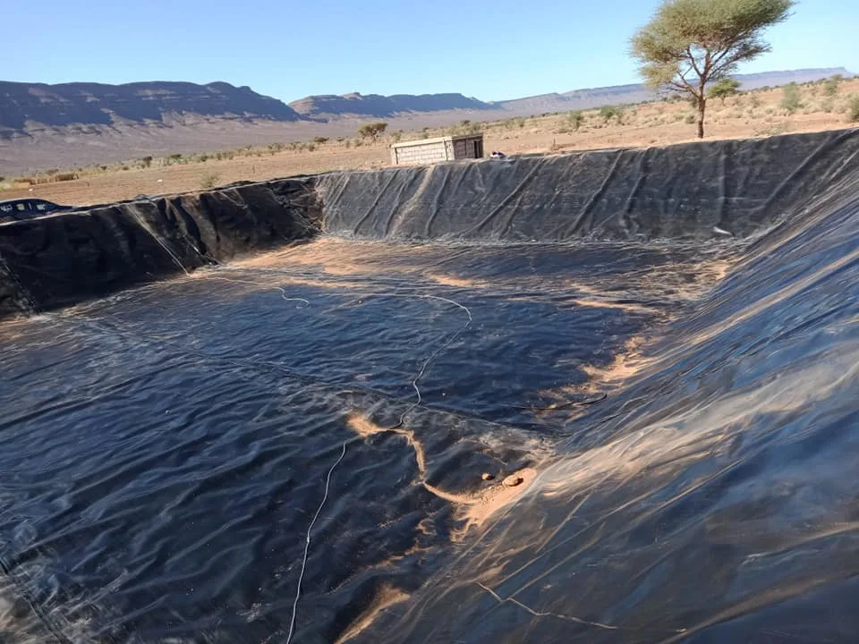 السمك 0.5مم مقاومة للماء الإربيان بتربية الأحياء المائية سمك الروبيان Pond HDPE Gembane سعر المادة