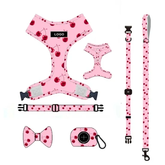 Lightweight Fresh Lovely Pet Traning Supplies Leash Harness Accessory