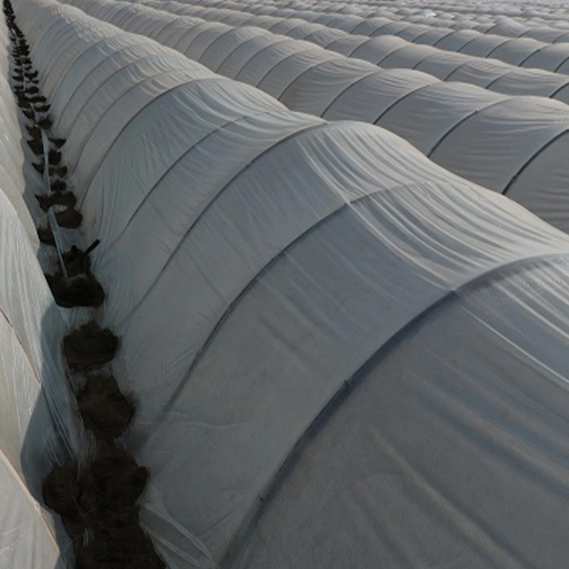 100% de matériau en polypropylène et de l'Agriculture Rouleau de tissu non tissé Jumbo