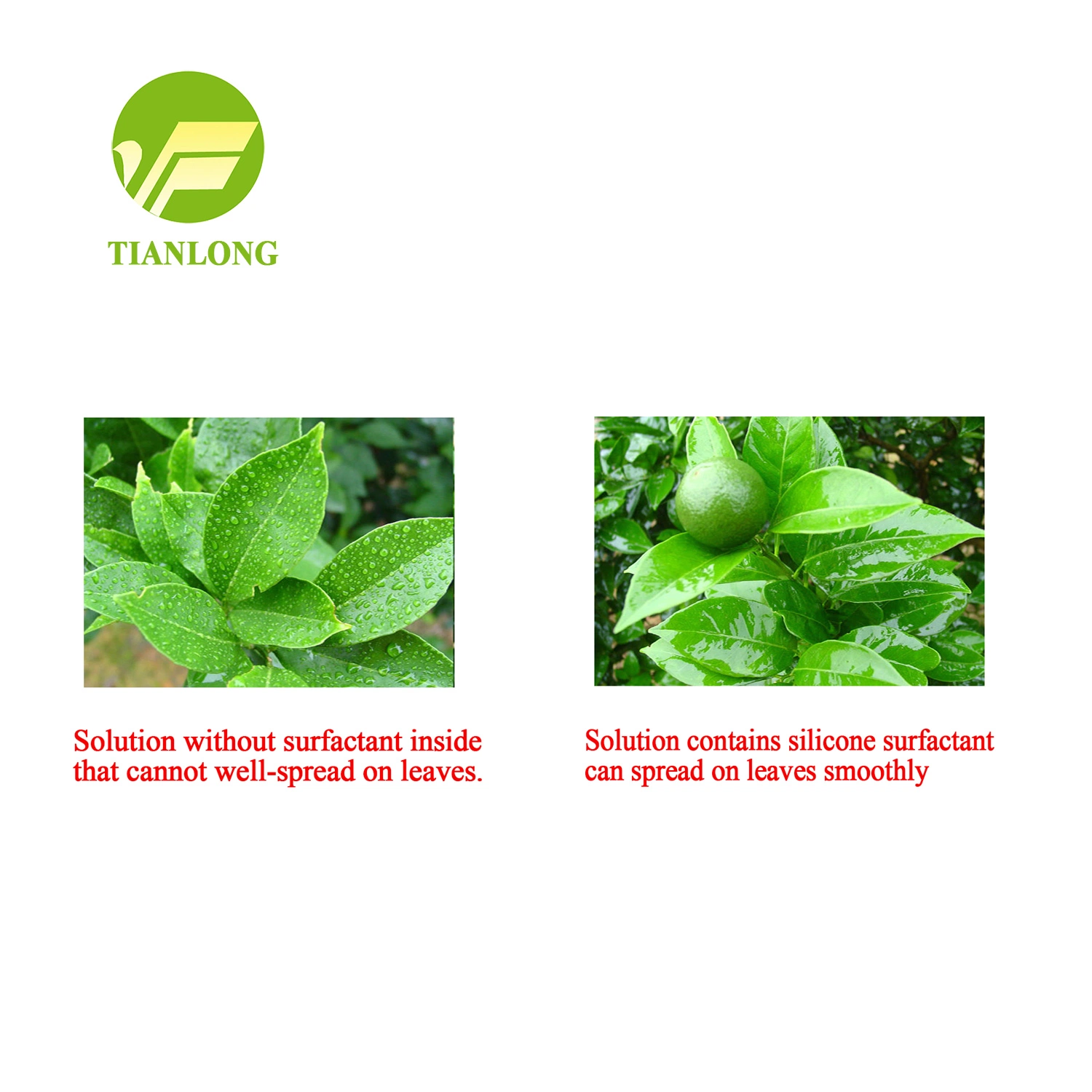 Pesticide spray synergist agent agriculture Silicone oil