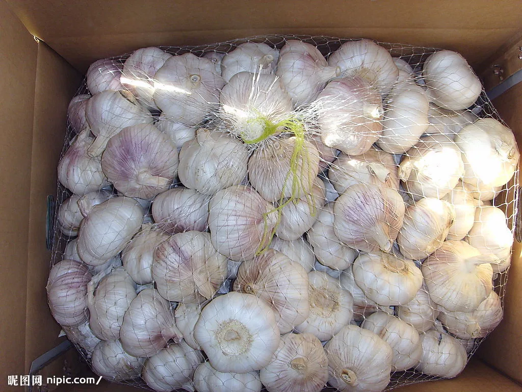 2020 New Crop Fresh Garlic