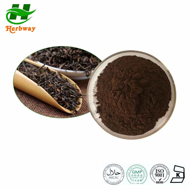 China&prime; S Low Price 100% PU&prime; Er Tea Extract Powder Instant Tea Powder Theaflavin Tea Polyphenols Camellia Sinensis Var. Assamica