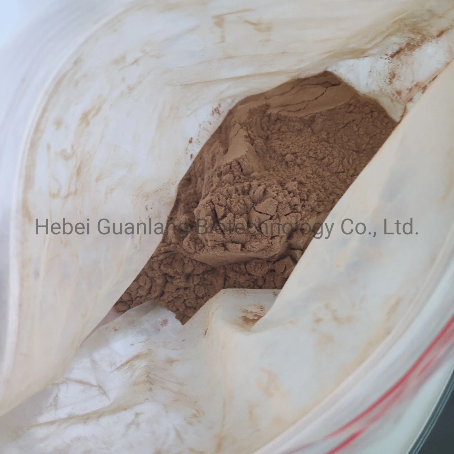 Factory Price Food Additive Caramel Powder CAS 8028-89-5 in Stock