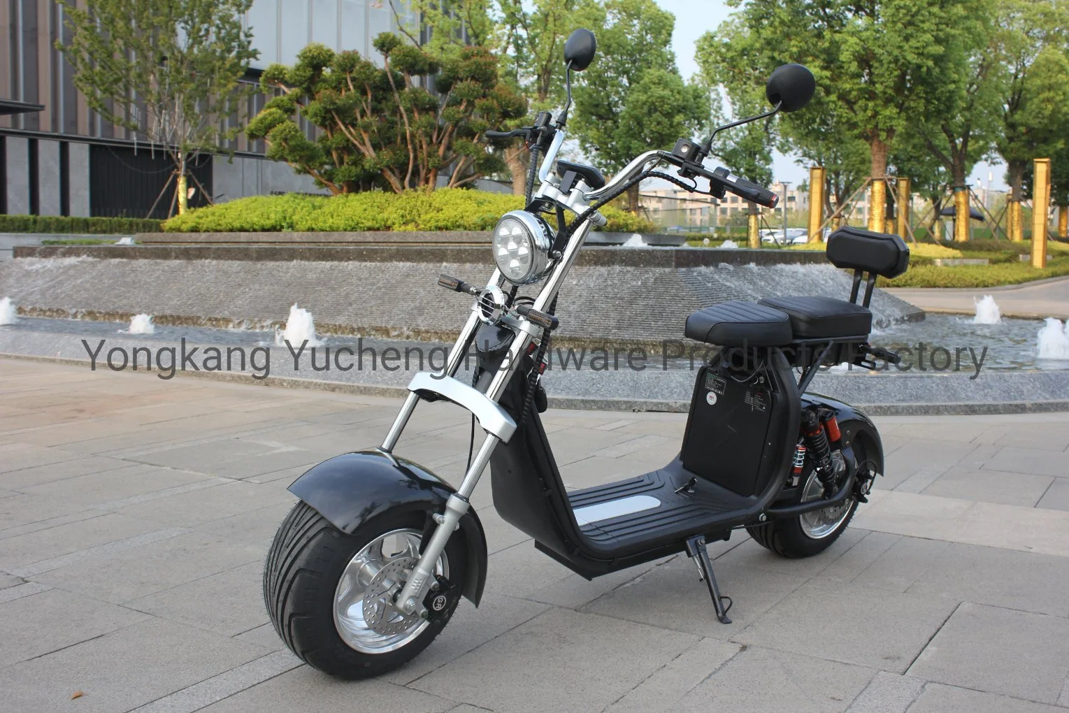 EEC / Coc elektrische Mobilität Fahrrad Scooter Folding Motor Elektro-Scooter