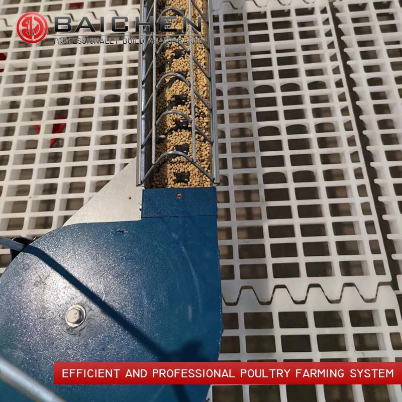 Automatic Poultry Breeder Chicken Feeder Farm Chain Feeding System