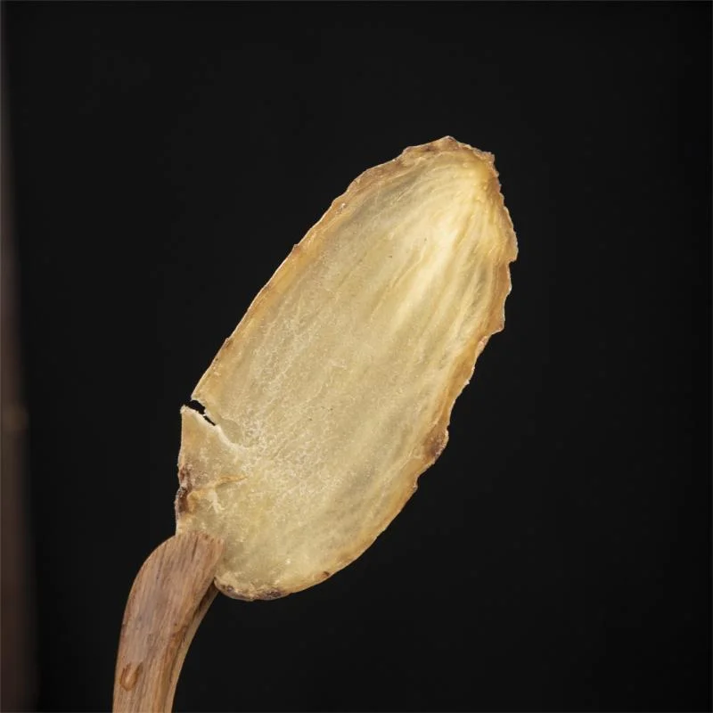 Vente chaude de tranches de Gastrodia Elata, plante médicinale à base de Gastrodia séchée.
