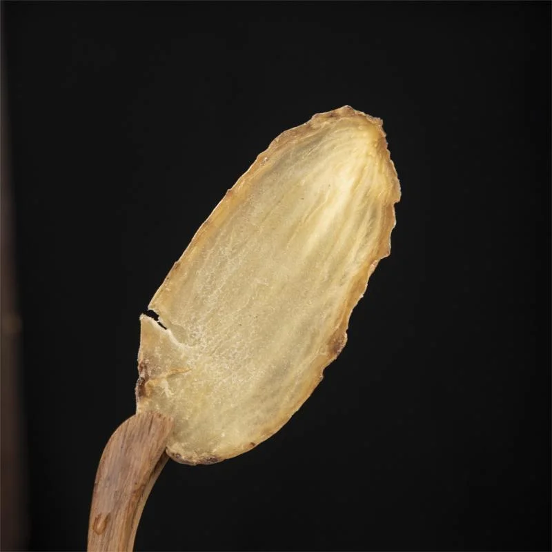 Hot Sale Gastrodia elata Slices Herbal Medicine Gastrodia Plant Dried Rizoma Gastrodiae