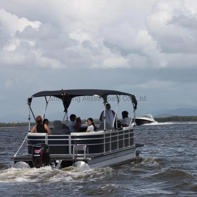 Norma 19ft-25M personalizados de aluminio de la familia de lujo Turismo Fiesta del Agua Pontoon Boat