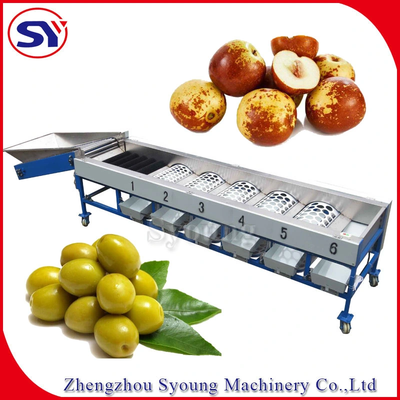 Food Vegetable Fruit Processing Machine Papaya Onion Orange Sorting Grader for Sale