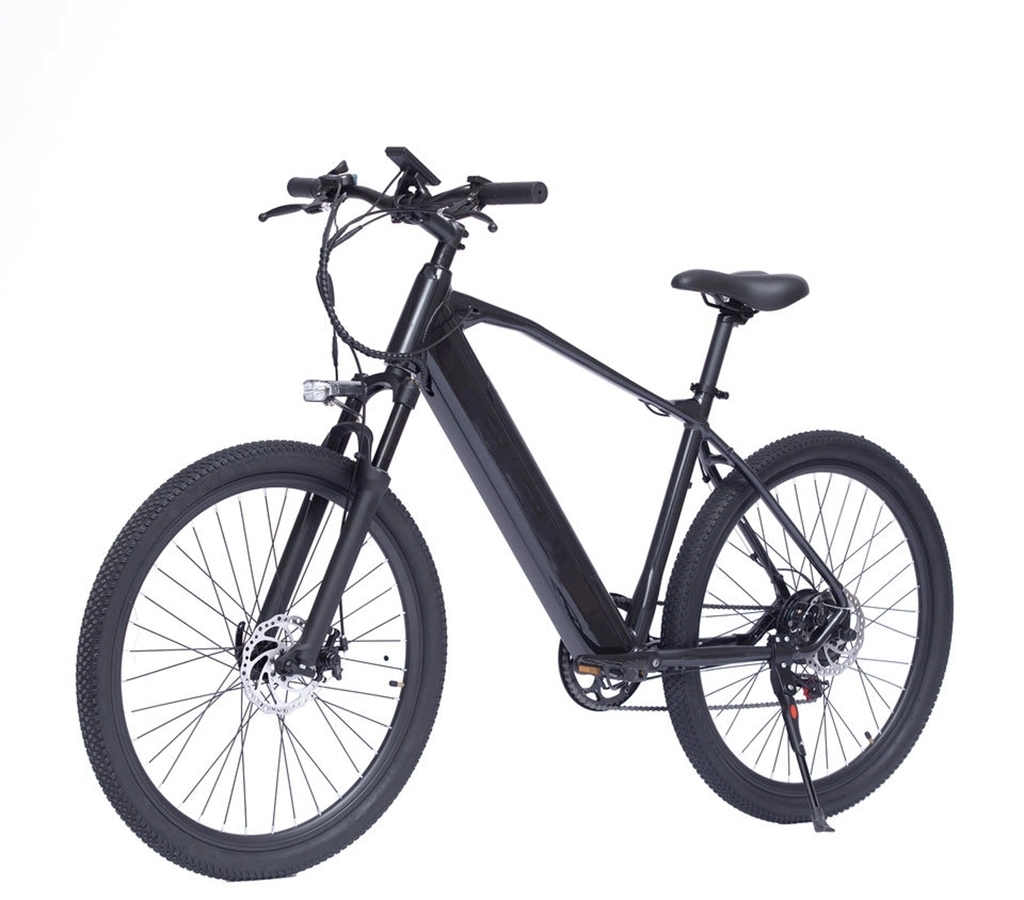 CE chaud OEM Sports Vélos électriques intelligents 10,5Ah 40km de long way Moteur électrique vélos 48V 1000W pliable vélo électrique