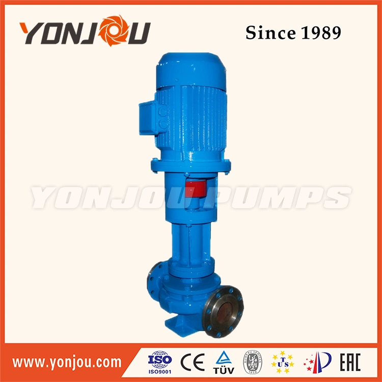 Air Cooled Hot Oil Transfer Pump