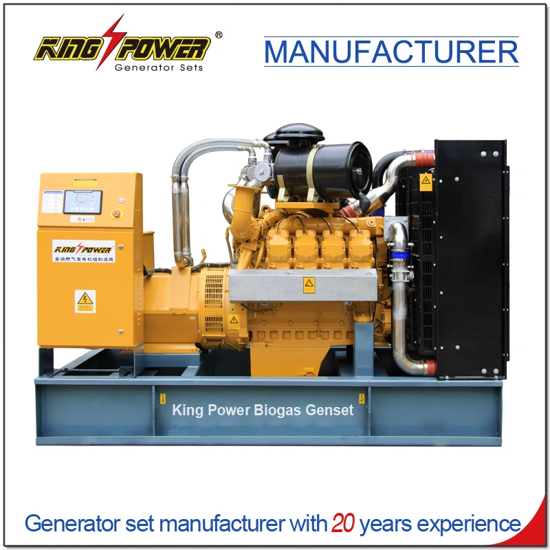 Hot Sale 200kw100kw400kw150kw Farm Use Biogas Natural Gas LPG Generator