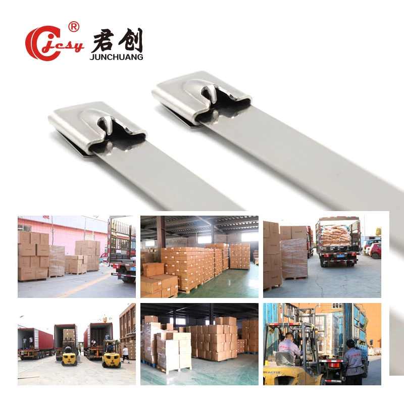 Jcst004 Quotation of Step Ladder Stainless Steel Cable Tie