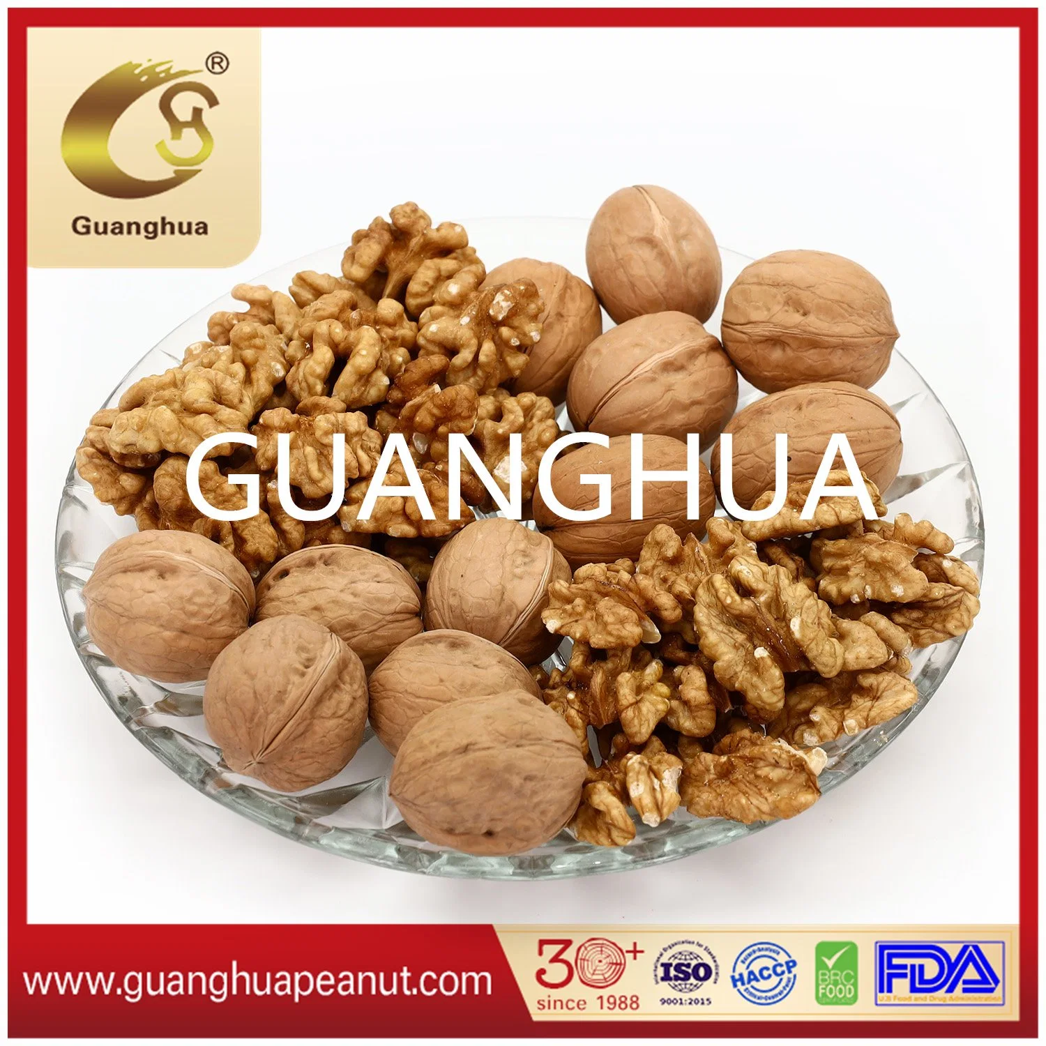 Walnut in Shell Extra Quality Papery Healthy Delicious Tasty Cheap New Crop